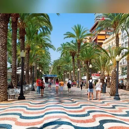 홈스테이 Habitacion Alicante 알리칸테